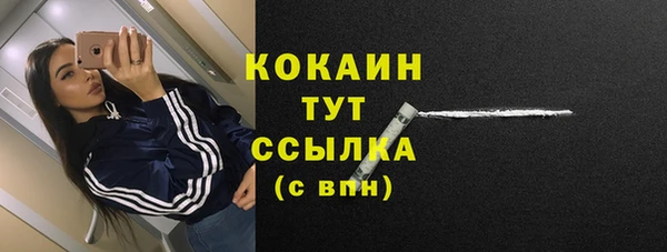 ПСИЛОЦИБИНОВЫЕ ГРИБЫ Беломорск