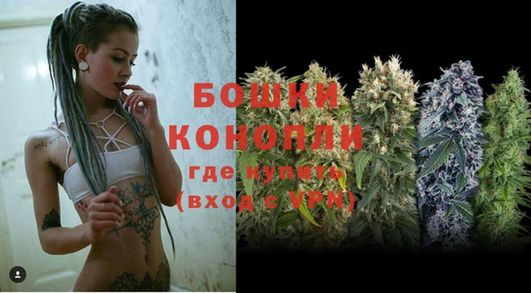 ПСИЛОЦИБИНОВЫЕ ГРИБЫ Беломорск