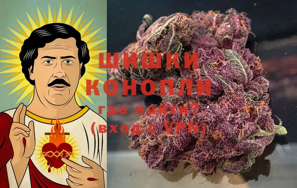 ПСИЛОЦИБИНОВЫЕ ГРИБЫ Беломорск