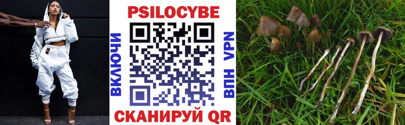 Галлюциногенные грибы Cubensis  наркотики  Кушва 