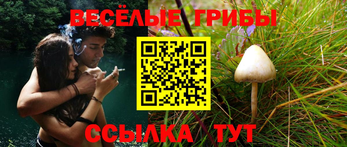 Кушва  Псилоцибиновые грибы MAGIC MUSHROOMS  Псилоцибиновые грибы Psilocybine cubensis  Вход с VPN 