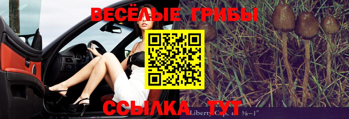 Галлюциногенные грибы мицелий Кушва